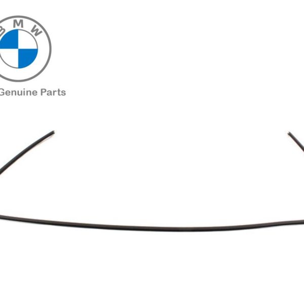 Original BMW E46 Seri 3 Rubber Seal Karet Lis Kaca Depan Atas Samping 51318196162