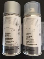 Original BMW Titanium Silver 354 Touch Up Spray Paint - Cat Semprot